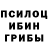 Галлюциногенные грибы Psilocybine cubensis Vaqif Quliyev
