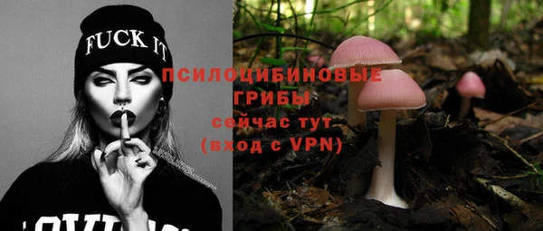 эйфоретик Алзамай
