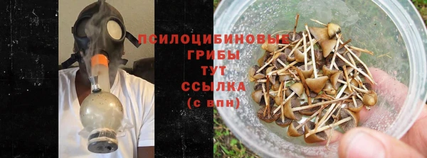 трава Алексин