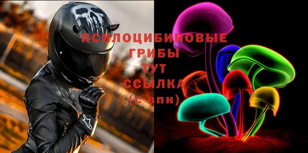 эйфоретик Алзамай